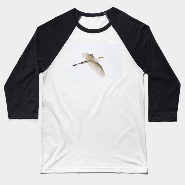 Great Egret - Florida Baseball T-Shirt by Jim Cumming